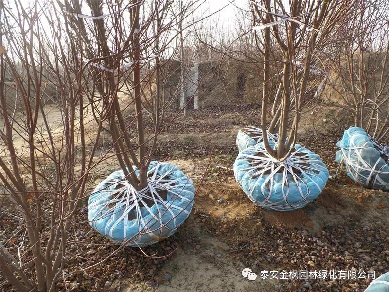 Intellectual property cultivation enterprises in Anhui Province