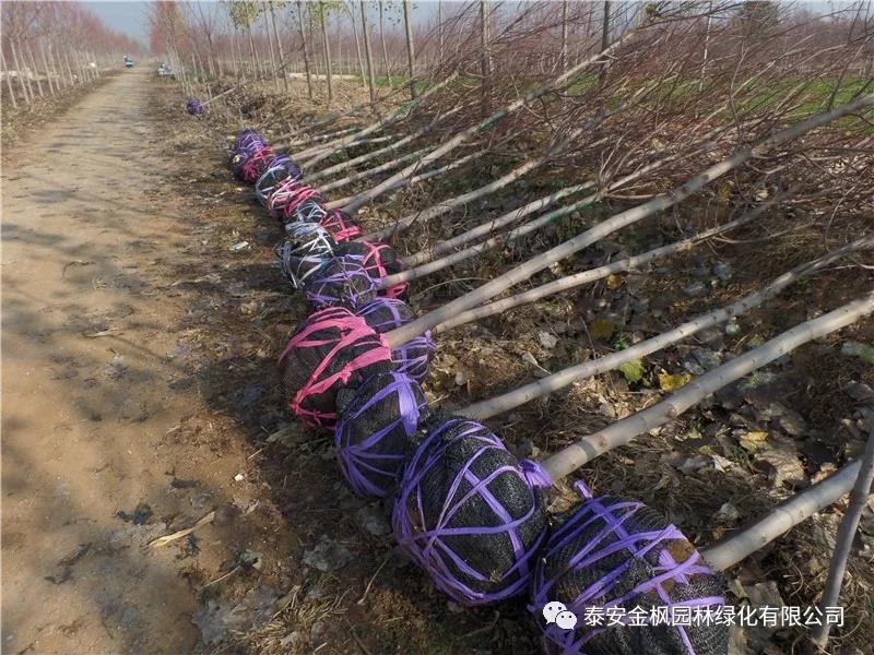 Specialized and special new enterprises in Anhui Province