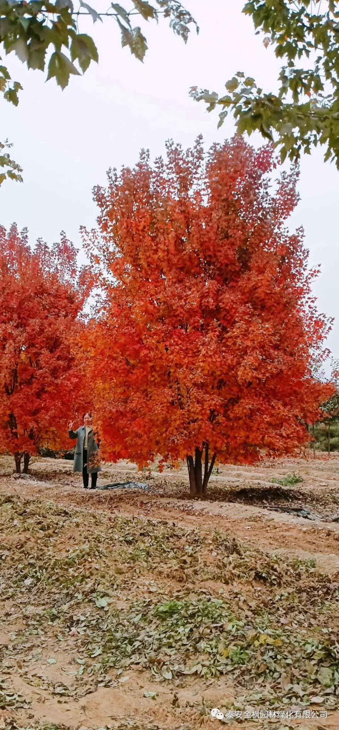 國家重點新產(chǎn)品