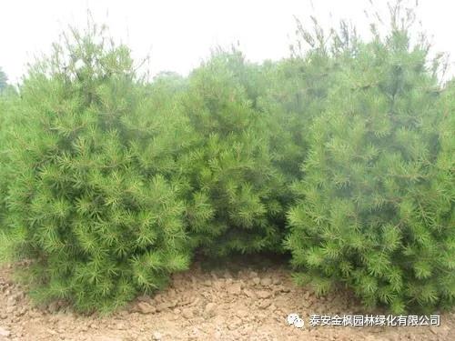 Wuhu Enterprise Technology Center