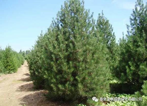 Anhui Province independent innovation product certificate